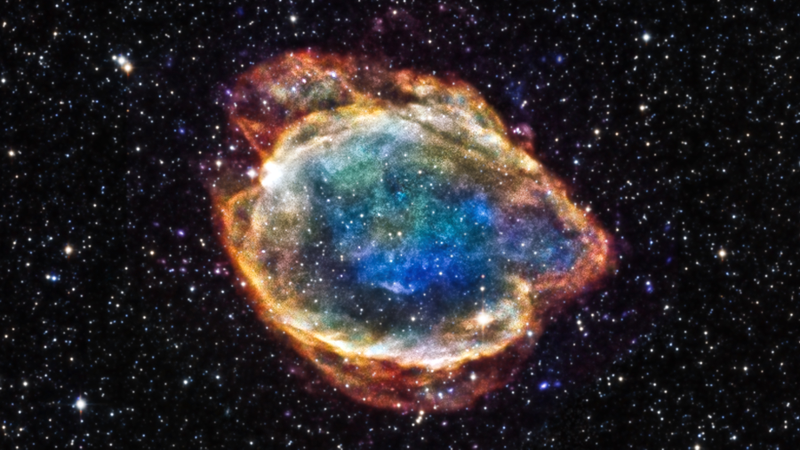 Tardigrades laugh in the face of supernovas. (Image: NASA)